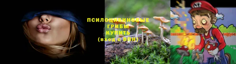 где купить наркотик  Волчанск  Галлюциногенные грибы MAGIC MUSHROOMS 